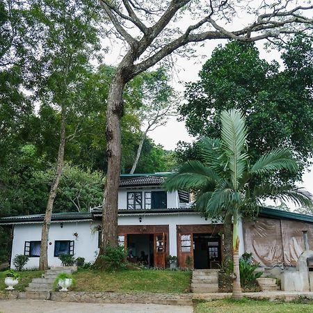 ホテル Welikande Yoga Retreats ディガーナ エクステリア 写真