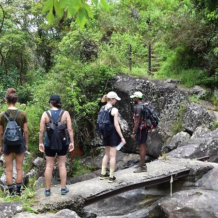 ホテル Welikande Yoga Retreats ディガーナ エクステリア 写真