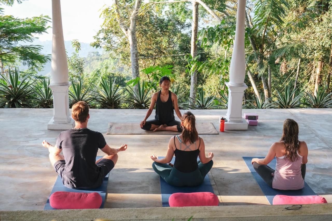 ホテル Welikande Yoga Retreats ディガーナ エクステリア 写真
