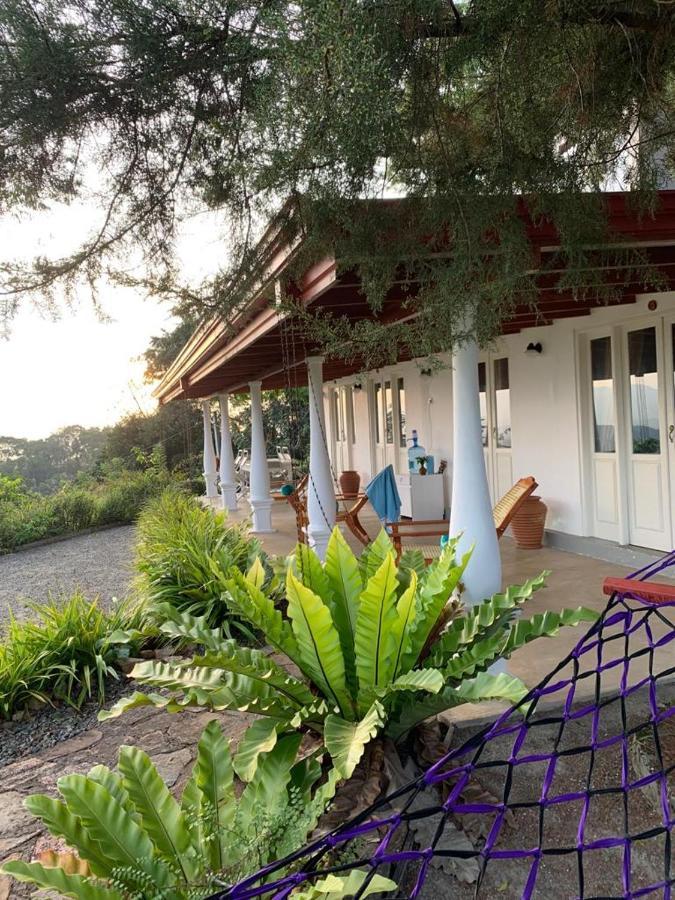 ホテル Welikande Yoga Retreats ディガーナ エクステリア 写真