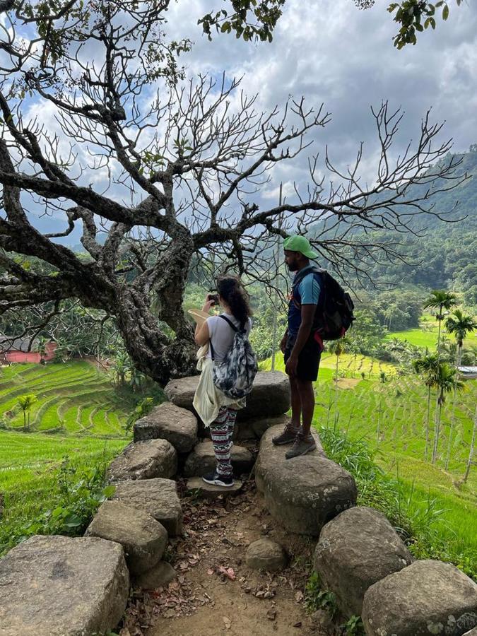 ホテル Welikande Yoga Retreats ディガーナ エクステリア 写真