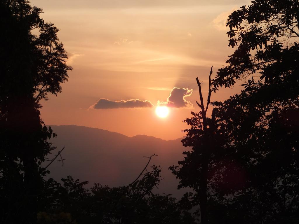ホテル Welikande Yoga Retreats ディガーナ 部屋 写真