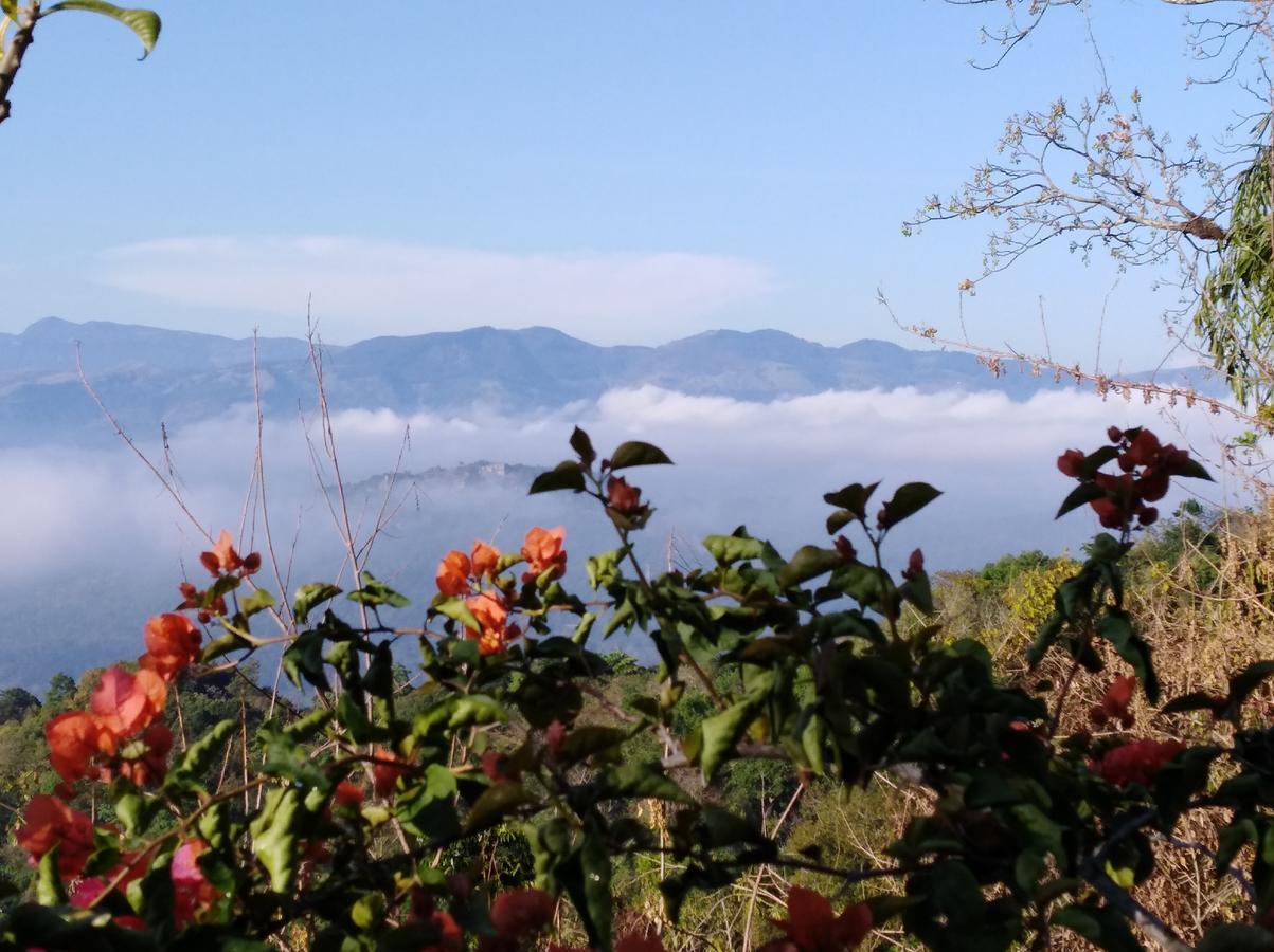ホテル Welikande Yoga Retreats ディガーナ エクステリア 写真